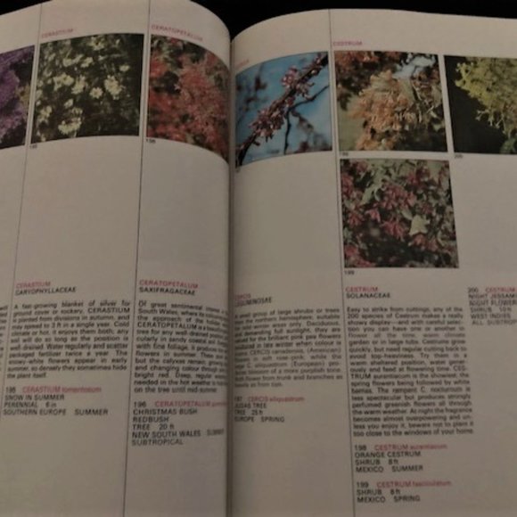 1971 What Flower is That? by Stirling Macoboy - Picture 3 of 8